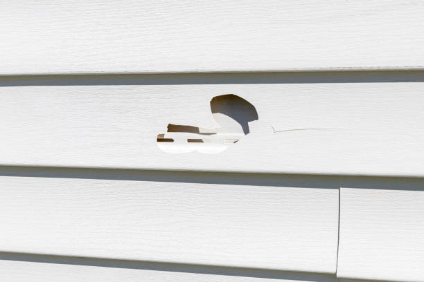 Professional Siding Installation & Repair in Roswell, GA
